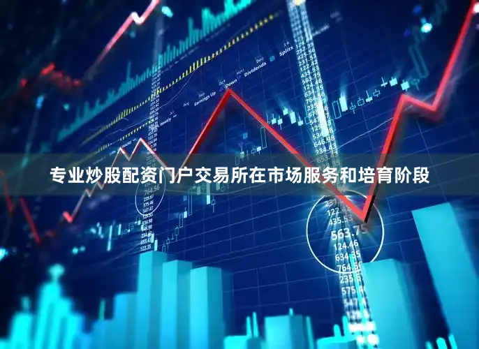 专业炒股配资门户交易所在市场服务和培育阶段