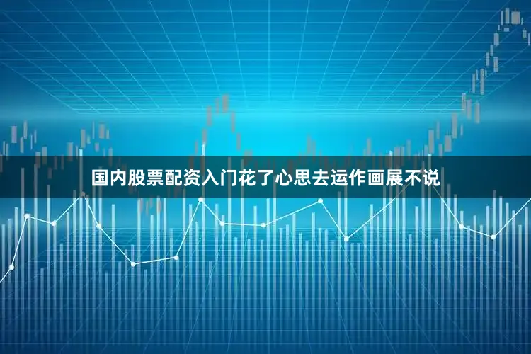 国内股票配资入门花了心思去运作画展不说